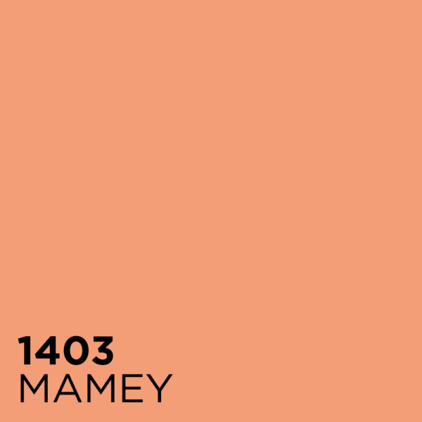 mamey-1403