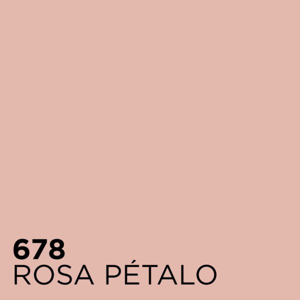 rosa-petalo-678