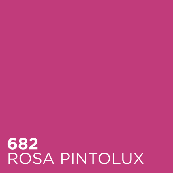 rosa-pintolux-682